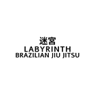 Labyrinth Brazilian Jiu Jitsu